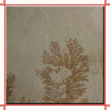 Fossil Mint Sandstone